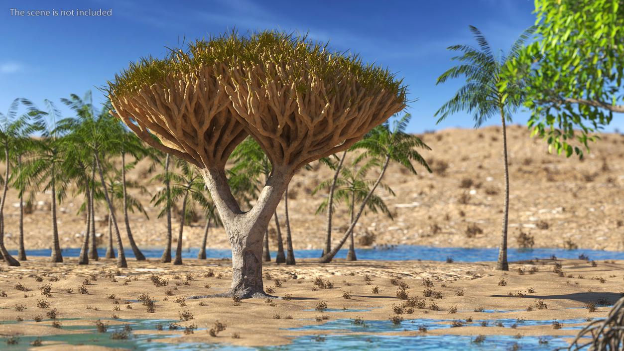 3D Dragon Tree