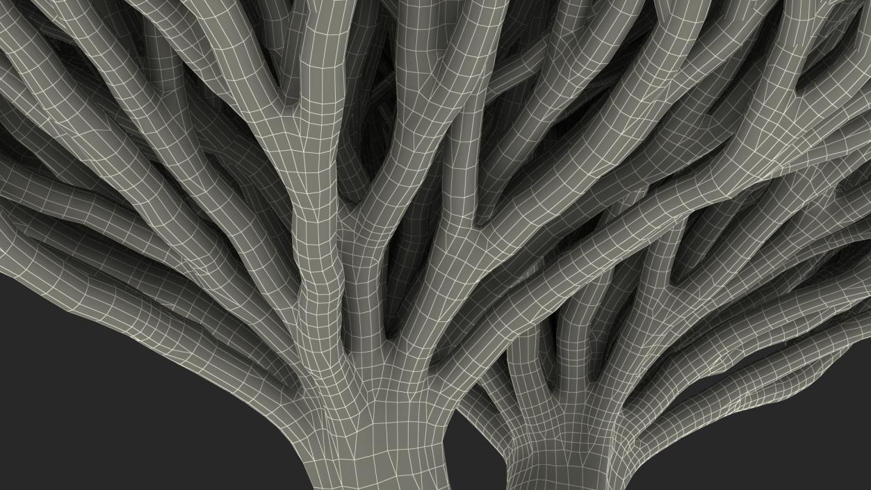 3D Dragon Tree