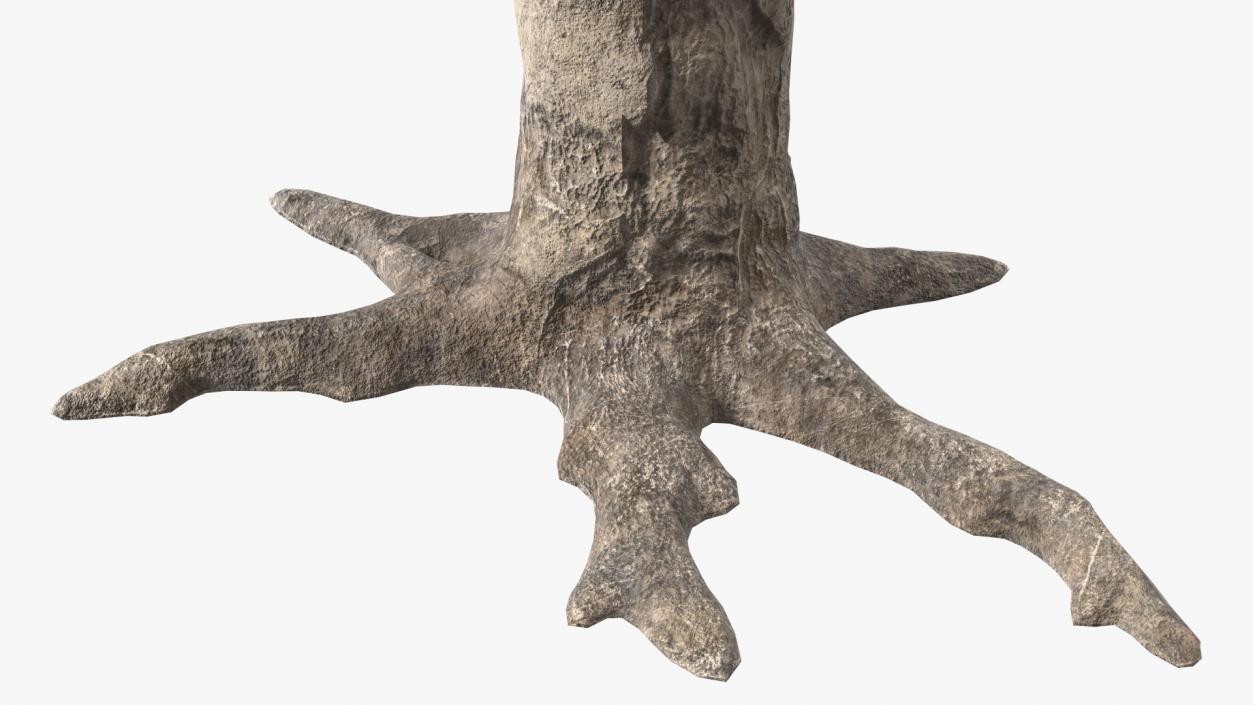 3D Dragon Tree