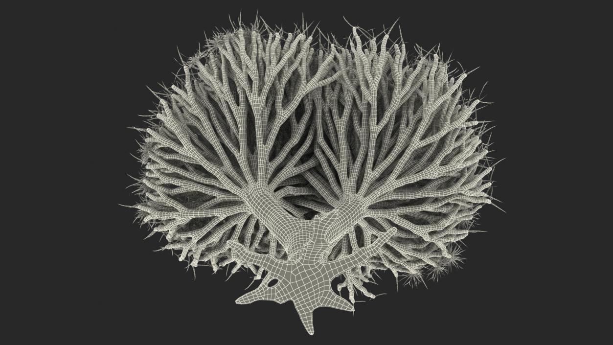 3D Dragon Tree