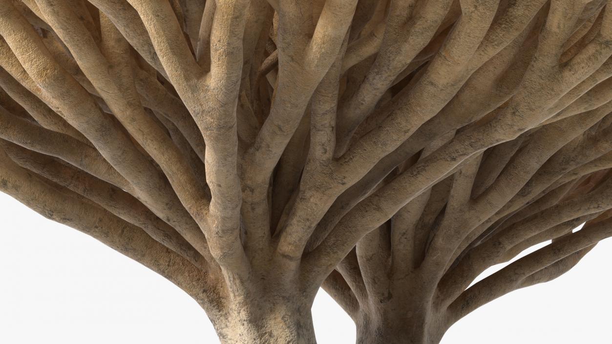 3D Dragon Tree