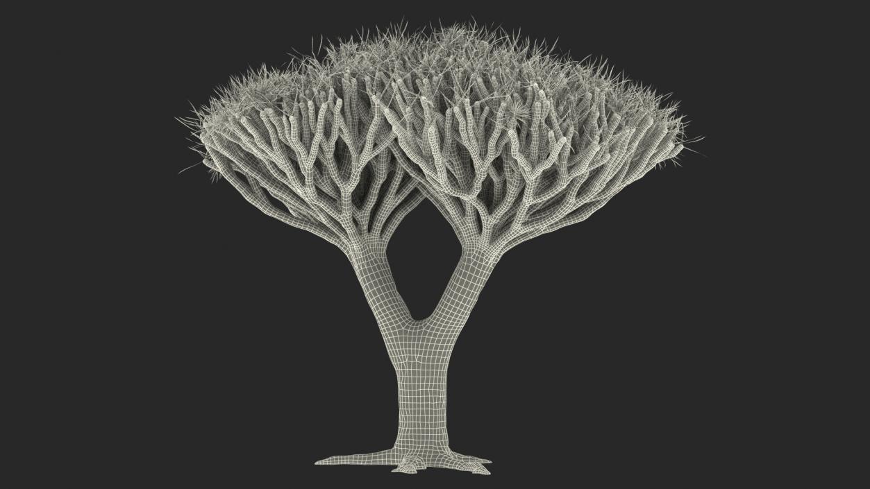 3D Dragon Tree