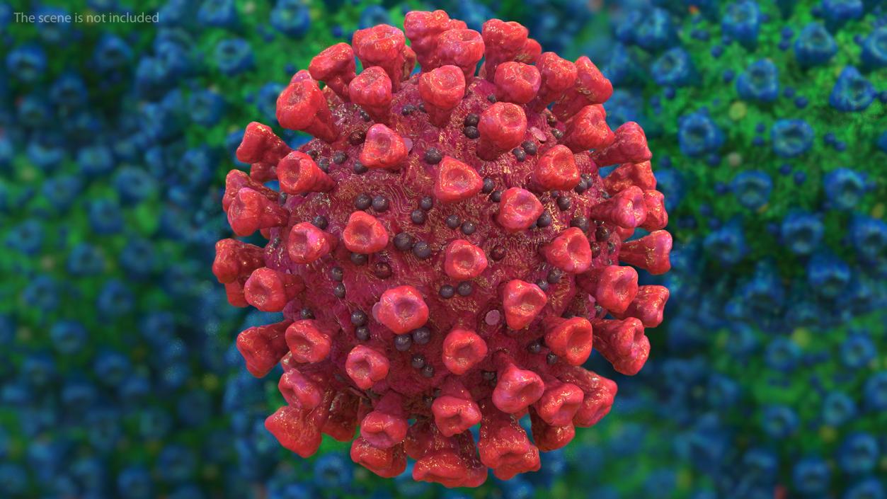 3D model Coronavirus 2019 with Vaccine Collection