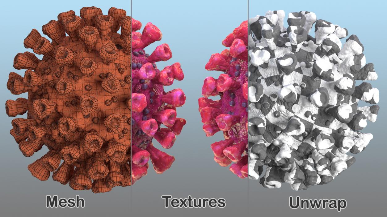 3D model Coronavirus 2019 with Vaccine Collection