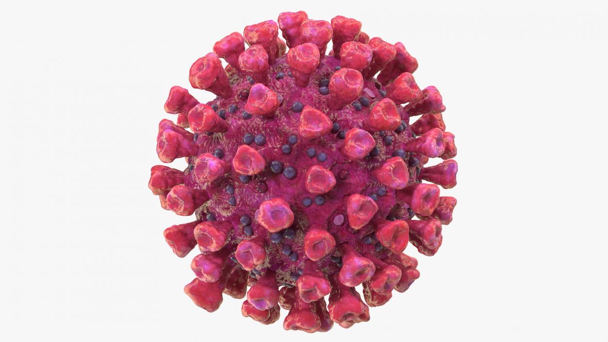 3D model Coronavirus 2019 with Vaccine Collection