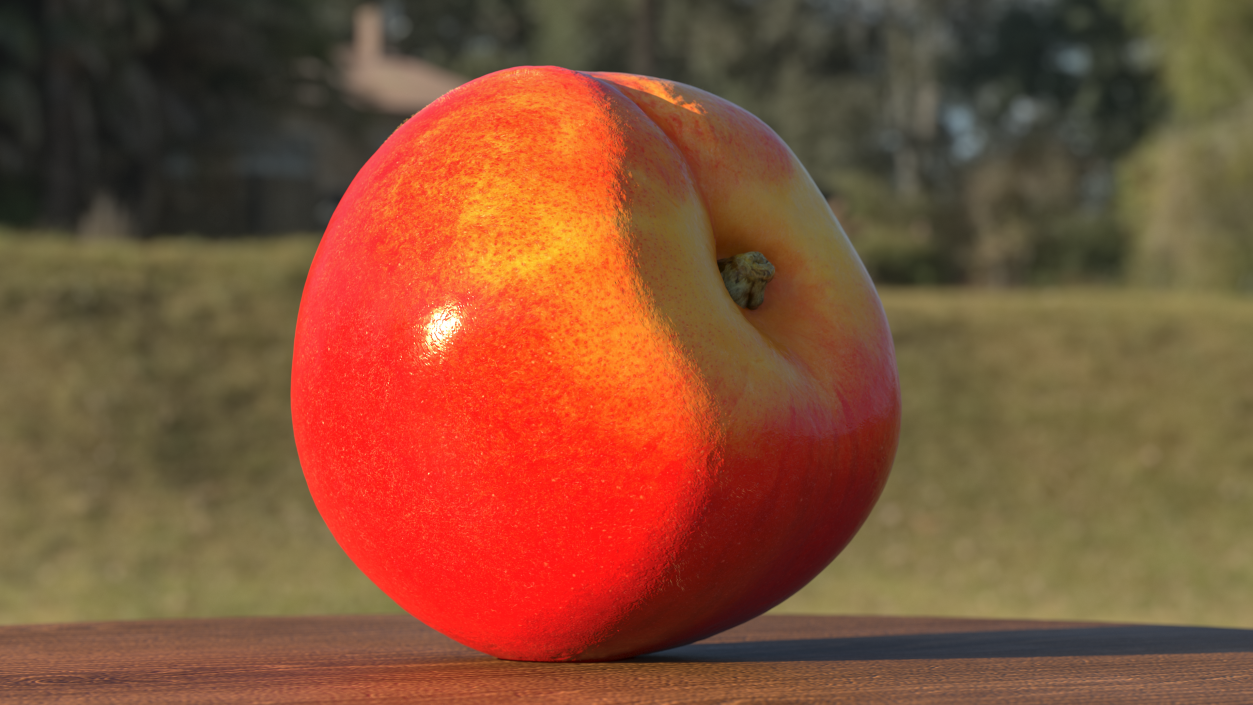 3D Red Peach Fur model