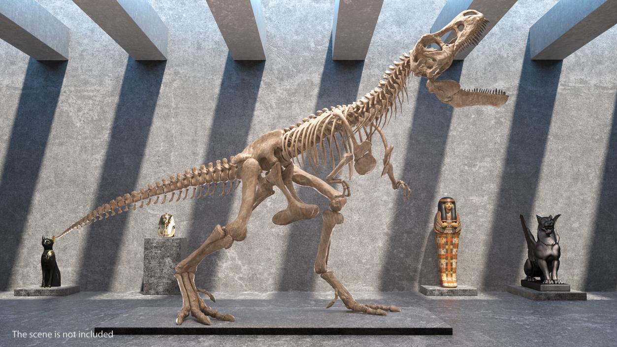 3D Tyrannosaurus Rex with Skeleton Fossil Rigged Collection