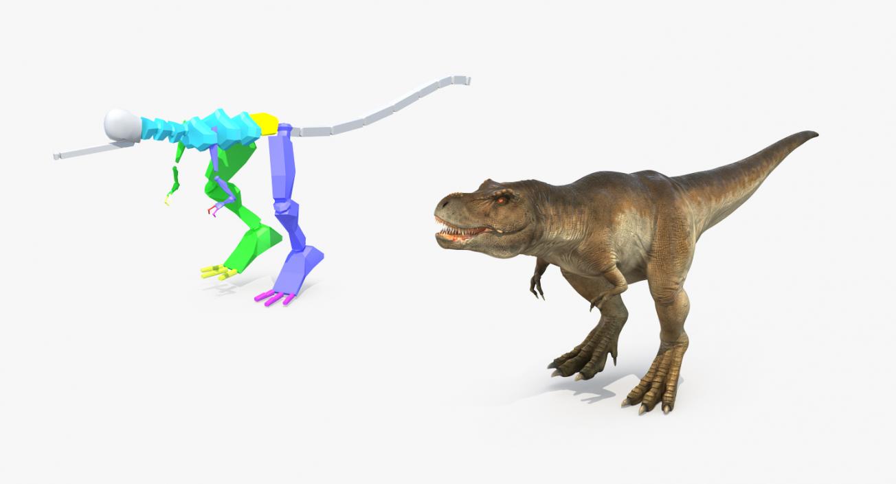 3D Tyrannosaurus Rex with Skeleton Fossil Rigged Collection