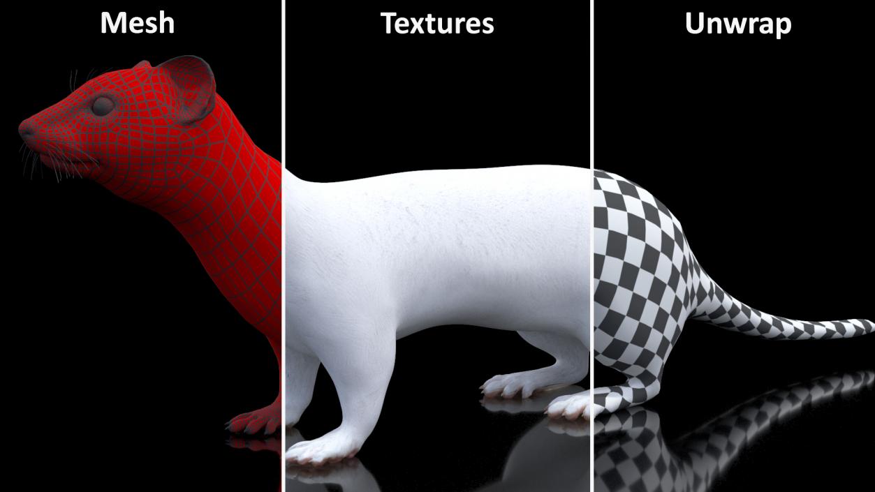 3D model Ermine Winter Coat 2