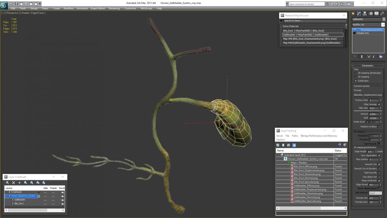 Human Gallbladder System 3D model