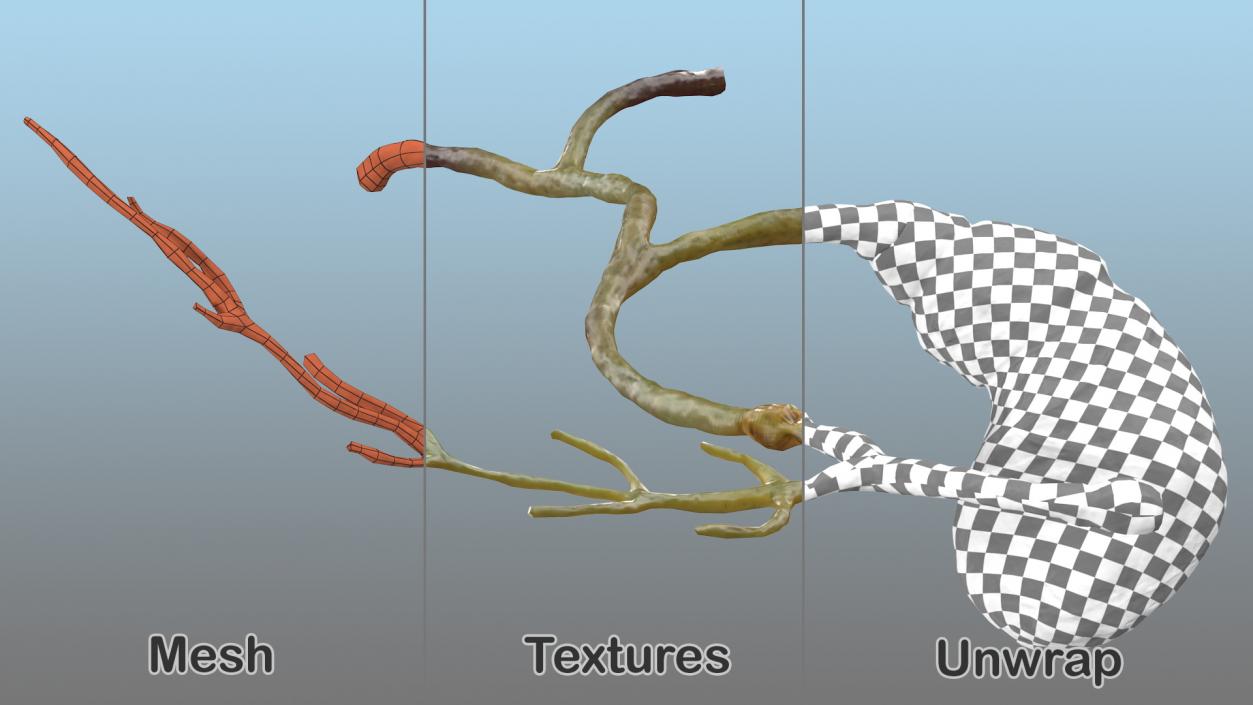 Human Gallbladder System 3D model