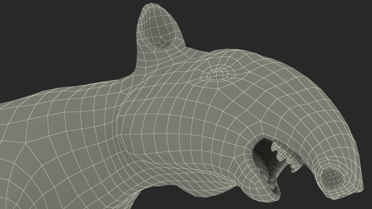 Tapir 3D model