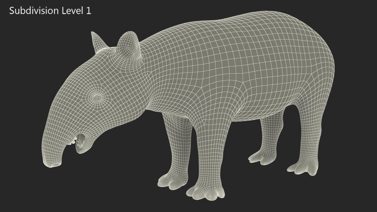 Tapir 3D model