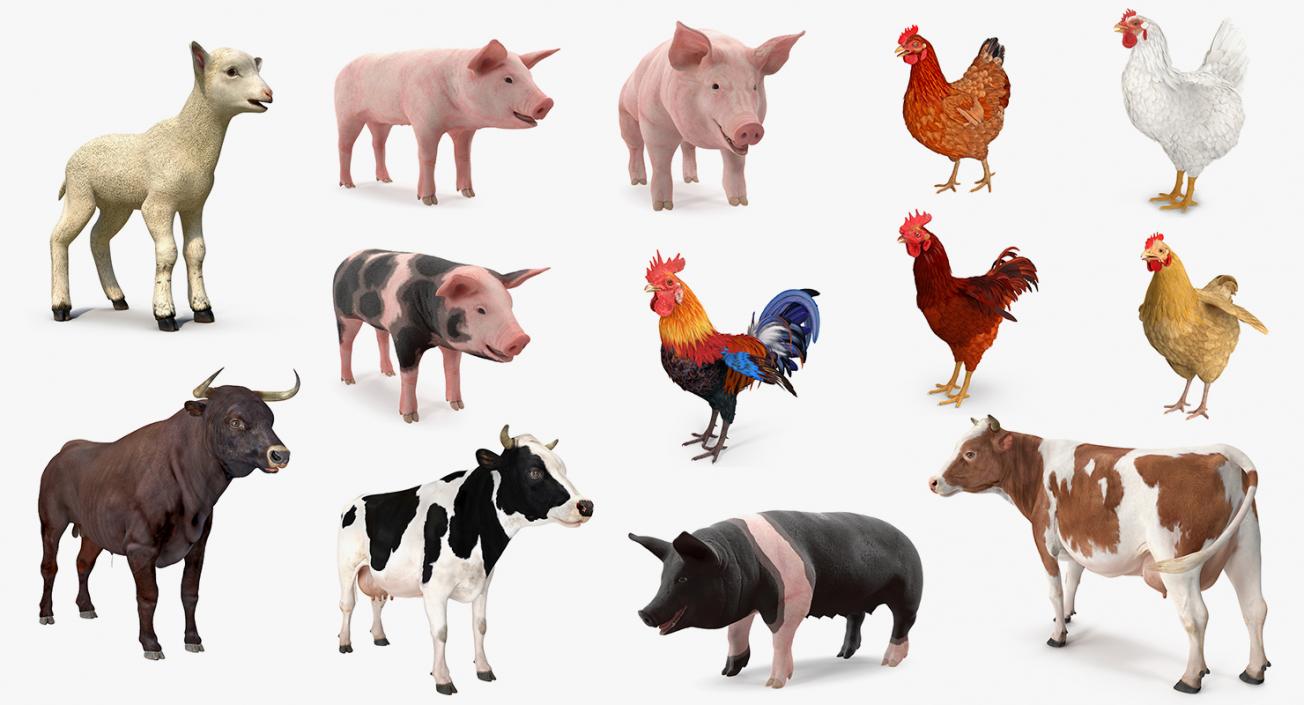 Farm Animals Big Collection 3D