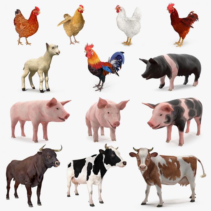 Farm Animals Big Collection 3D