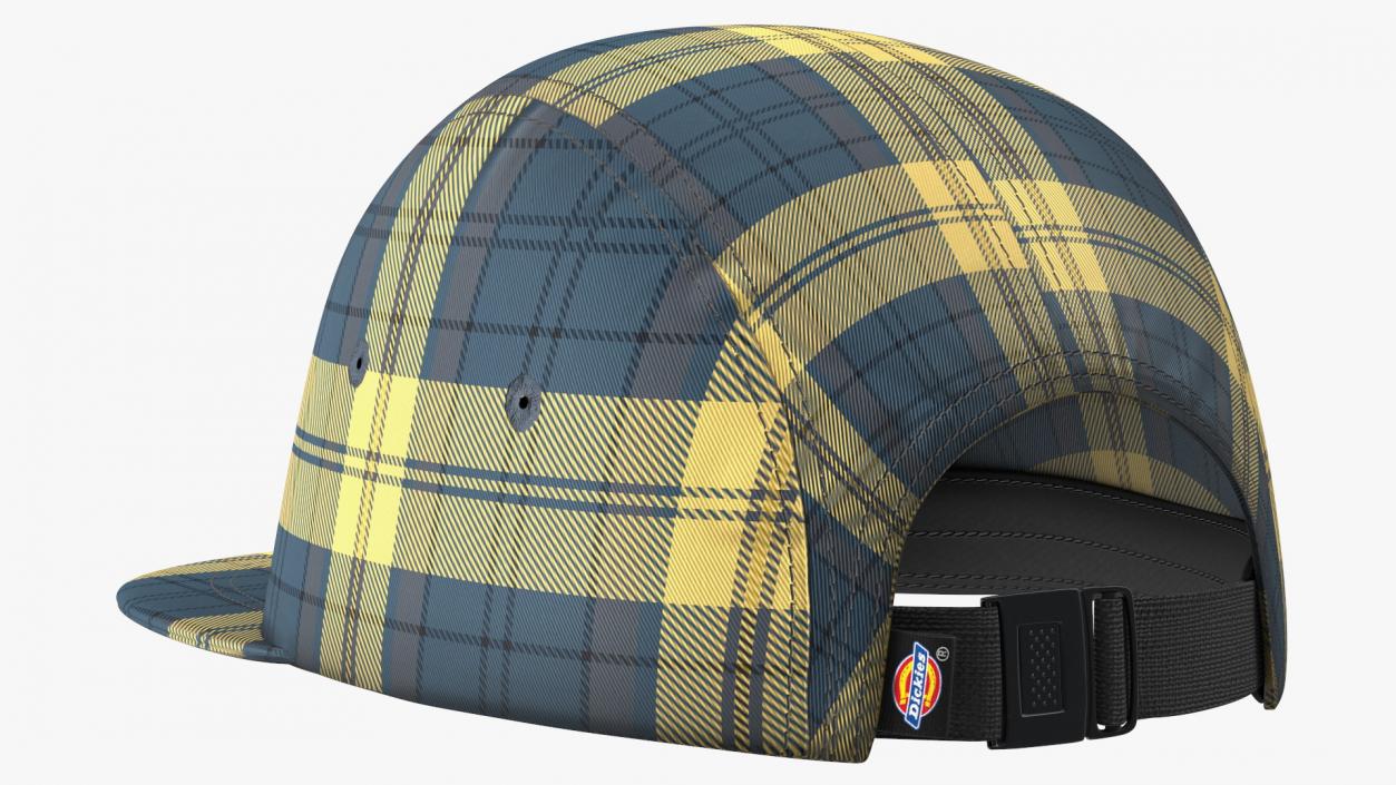 Dickies Hornbeck Check 5 Panel Cap 3D model