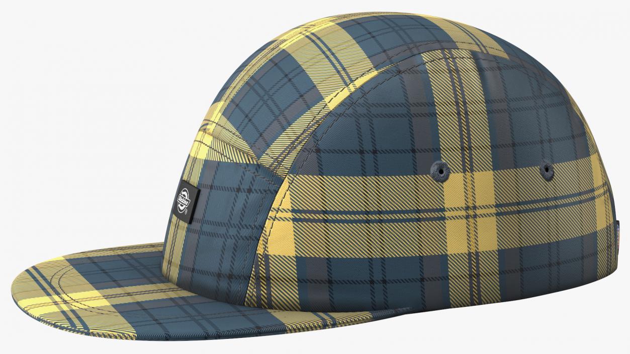 Dickies Hornbeck Check 5 Panel Cap 3D model