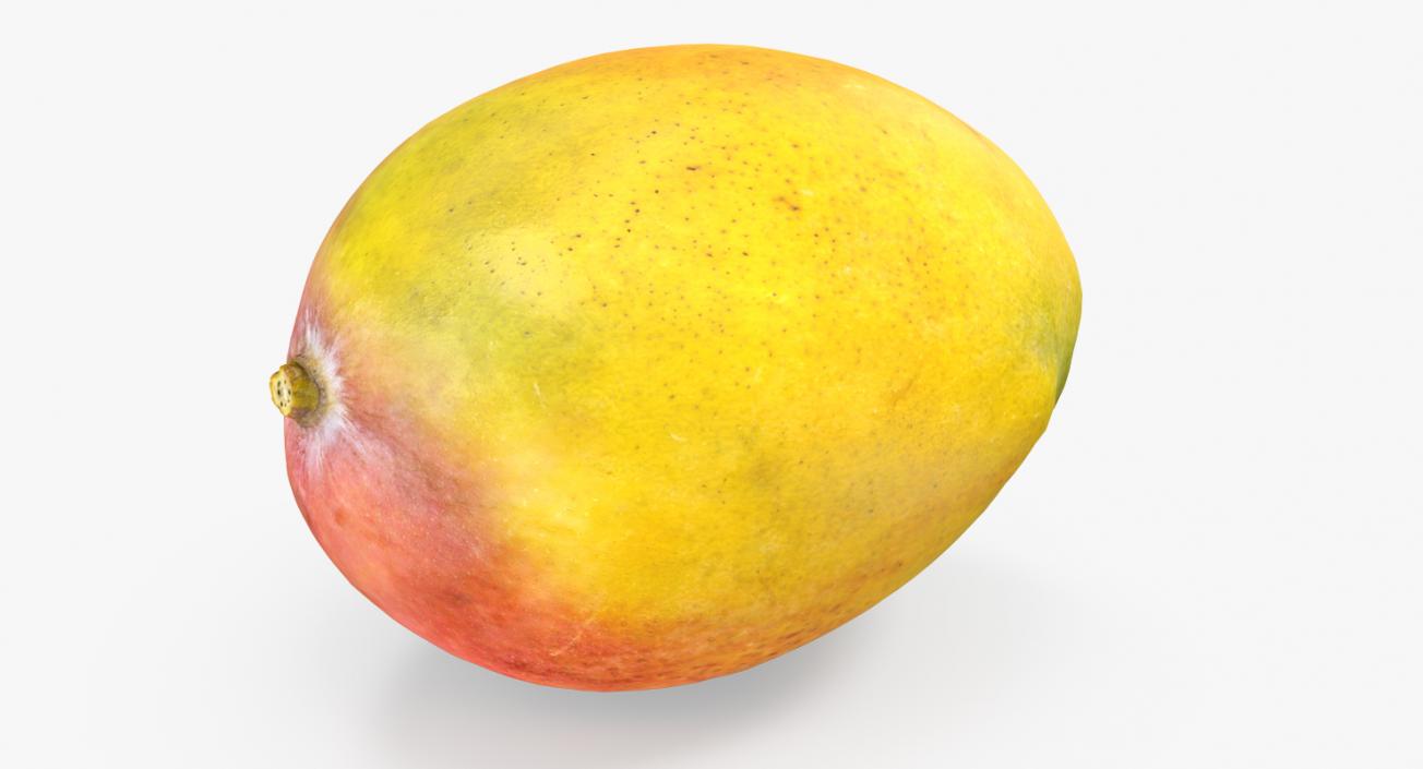 3D Yellow Mango Fruit model