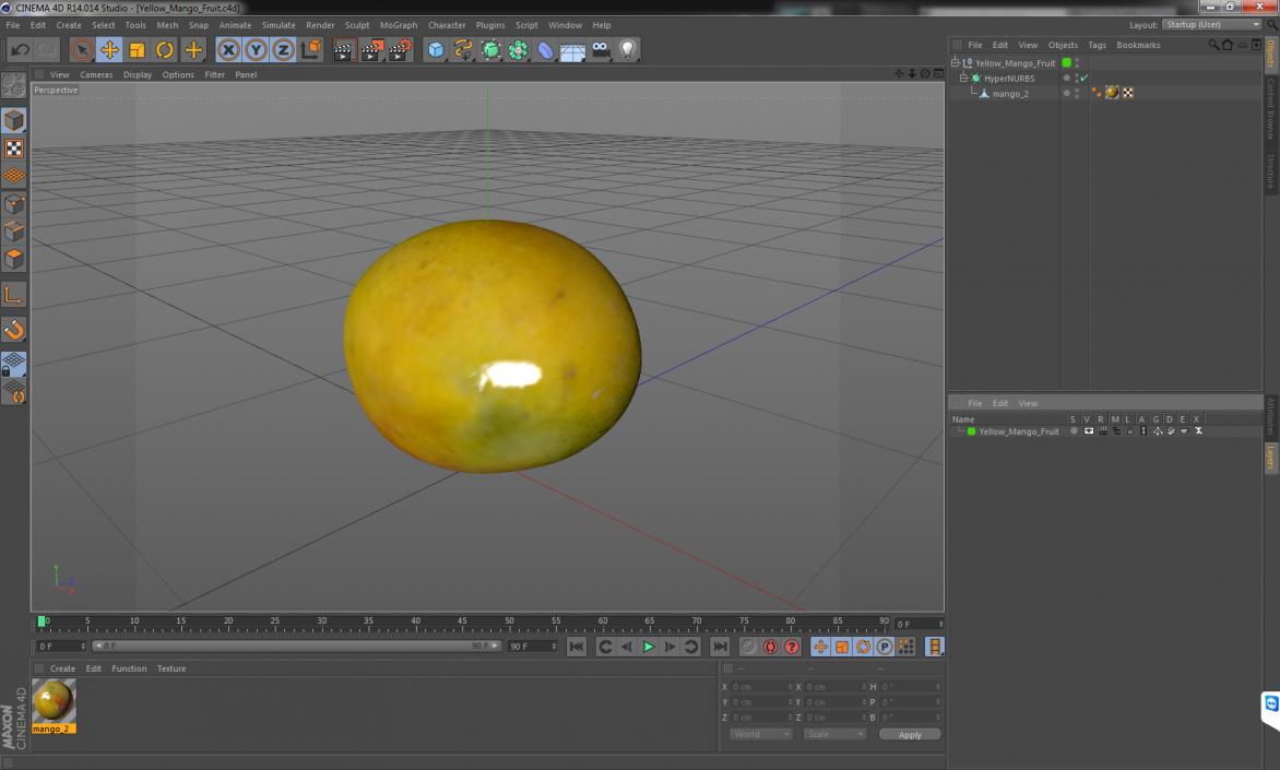 3D Yellow Mango Fruit model