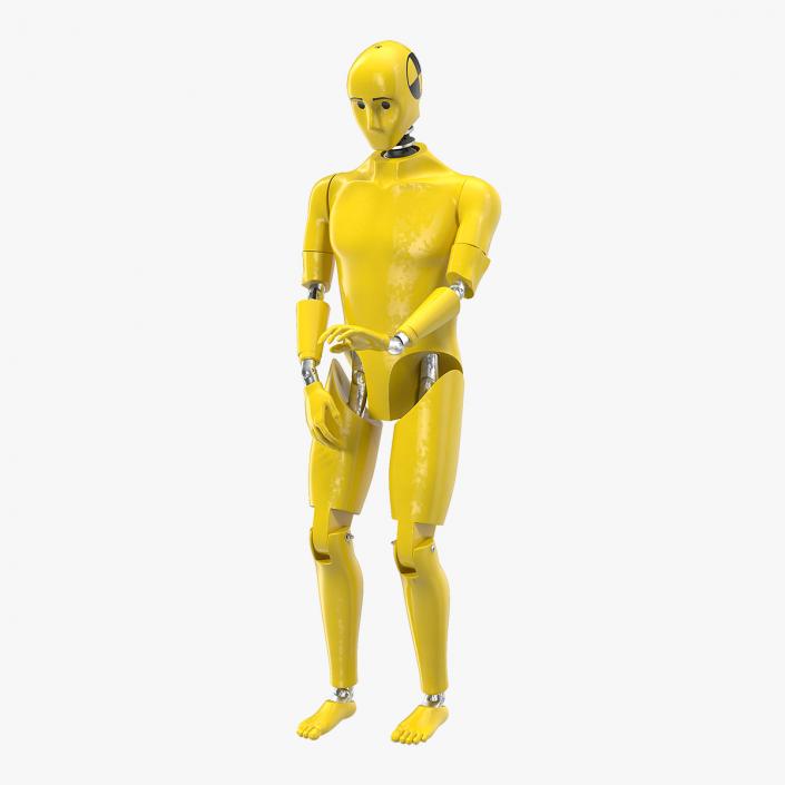 3D Crash Test Dummy Rigged model