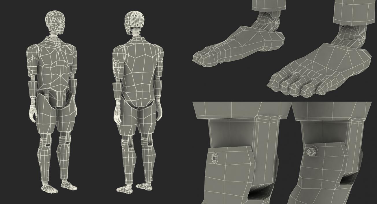 3D Crash Test Dummy Rigged model