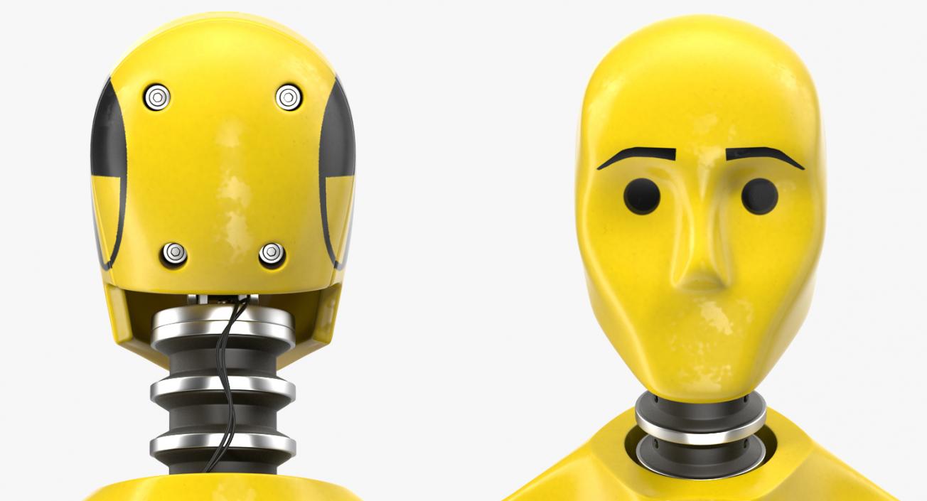 3D Crash Test Dummy Rigged model