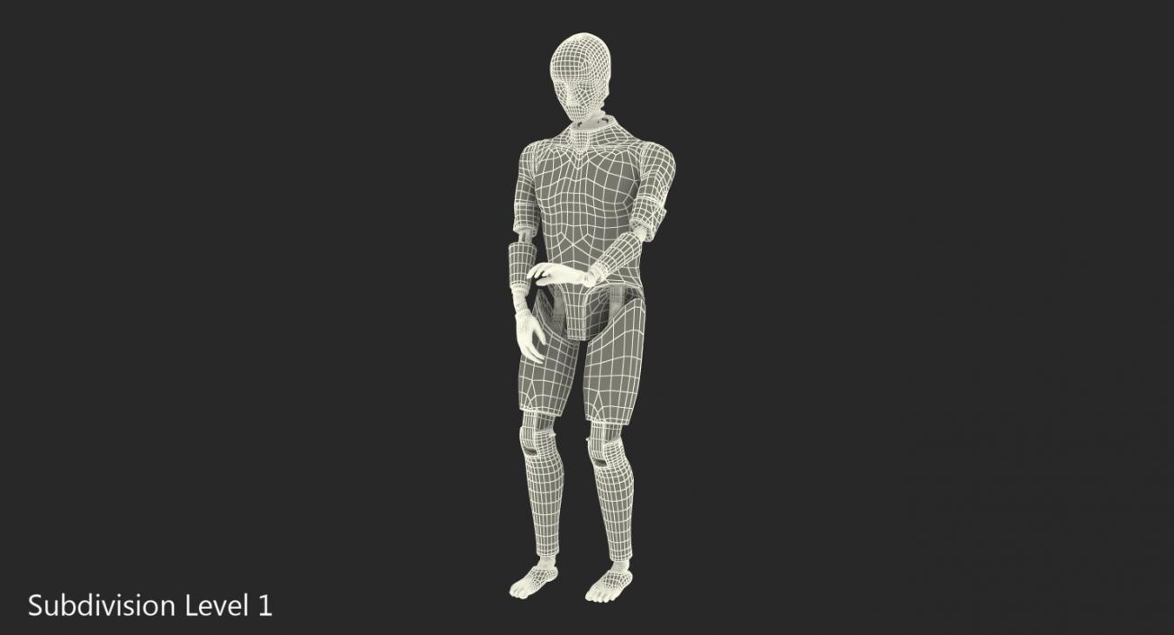 3D Crash Test Dummy Rigged model