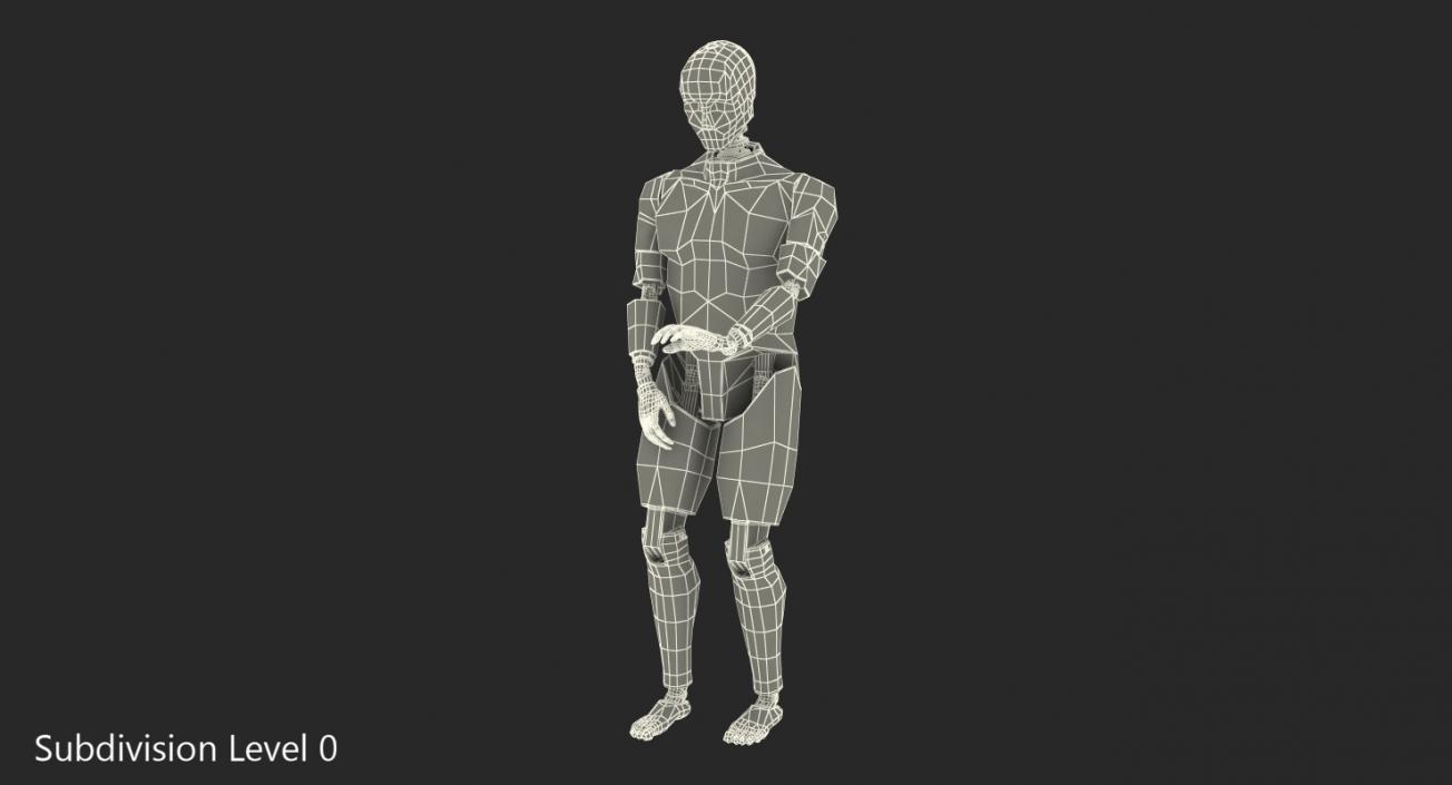 3D Crash Test Dummy Rigged model