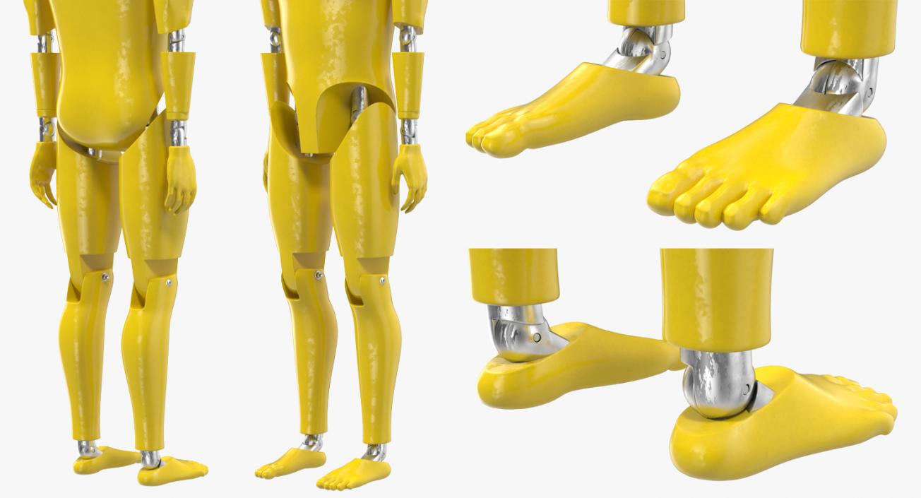 3D Crash Test Dummy Rigged model