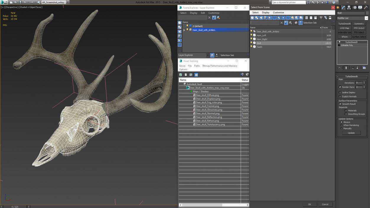 3D Deer Skull with Antlers model