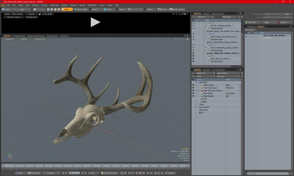 3D Deer Skull with Antlers model