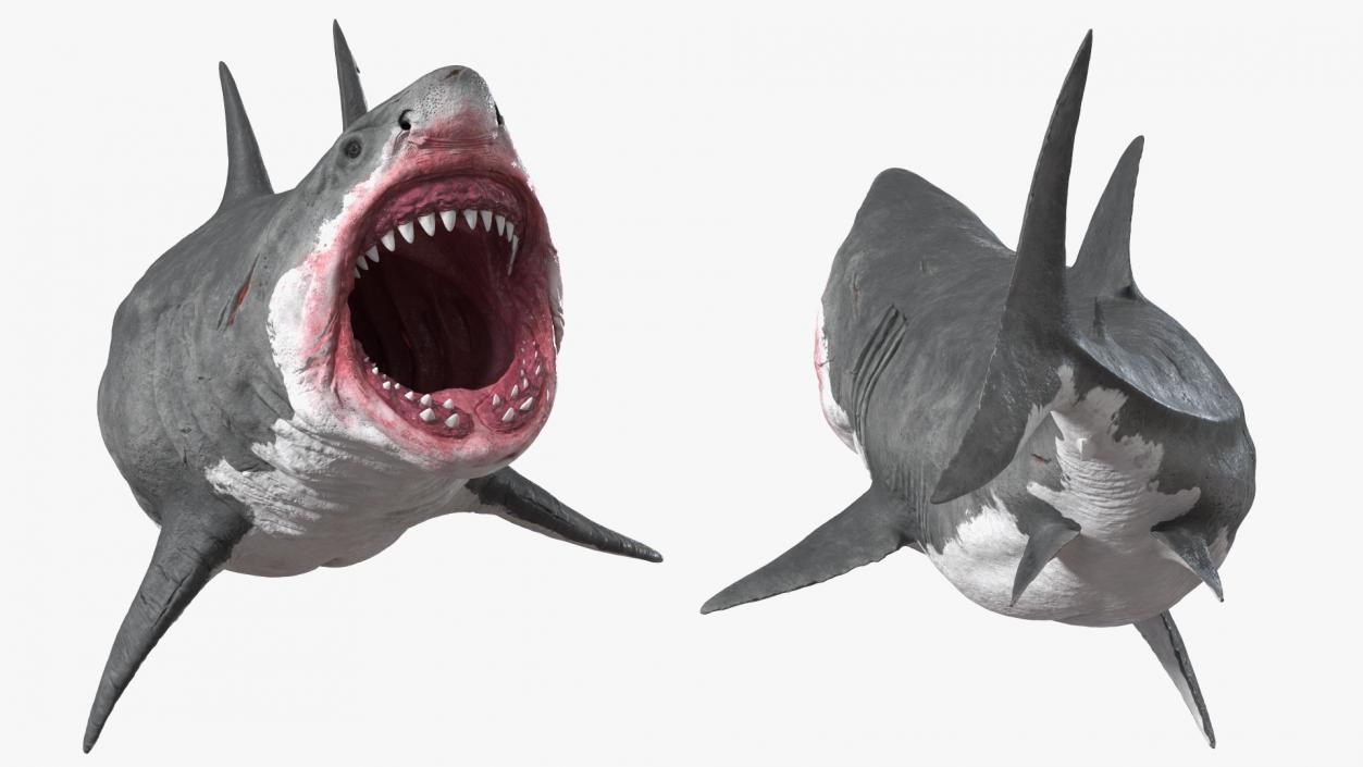 3D model Megalodon Aggressive Pose