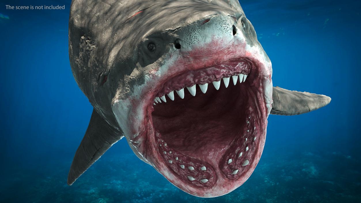 3D model Megalodon Aggressive Pose