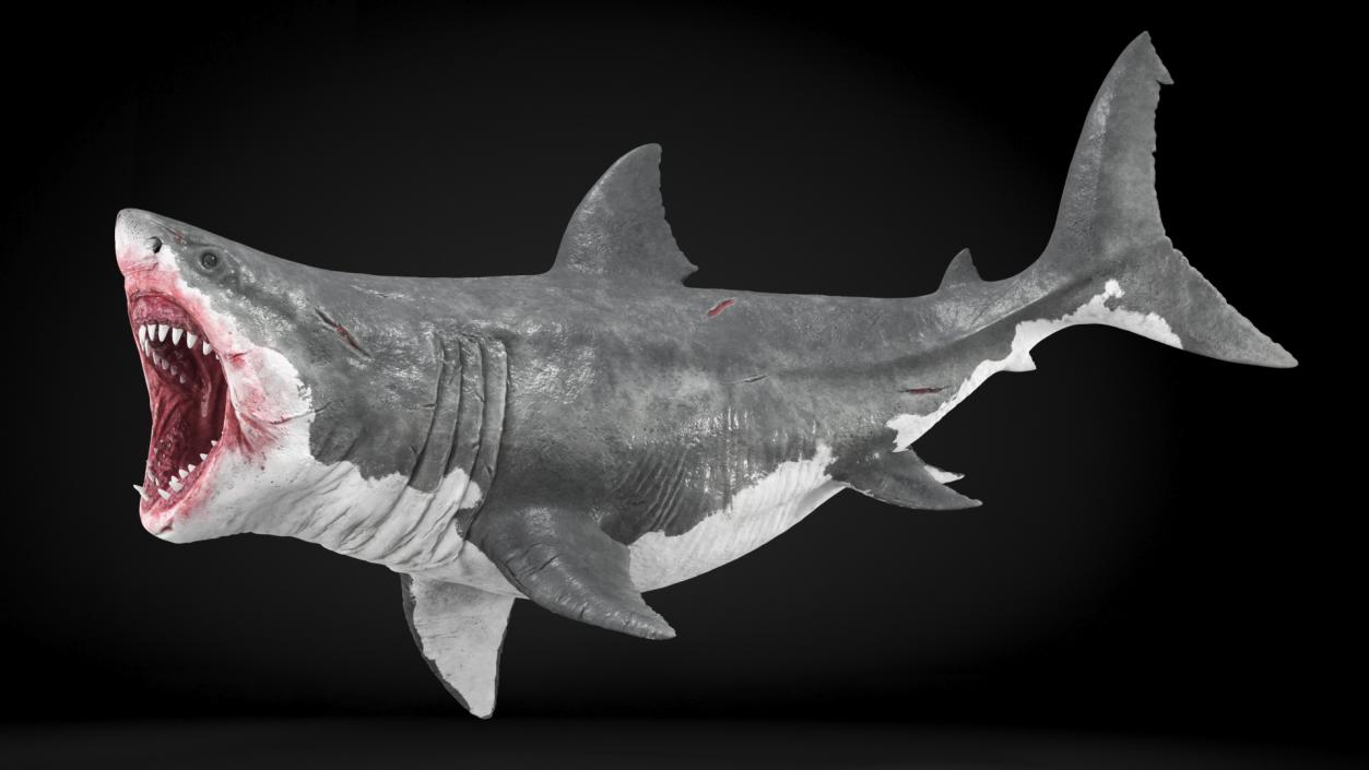 3D model Megalodon Aggressive Pose