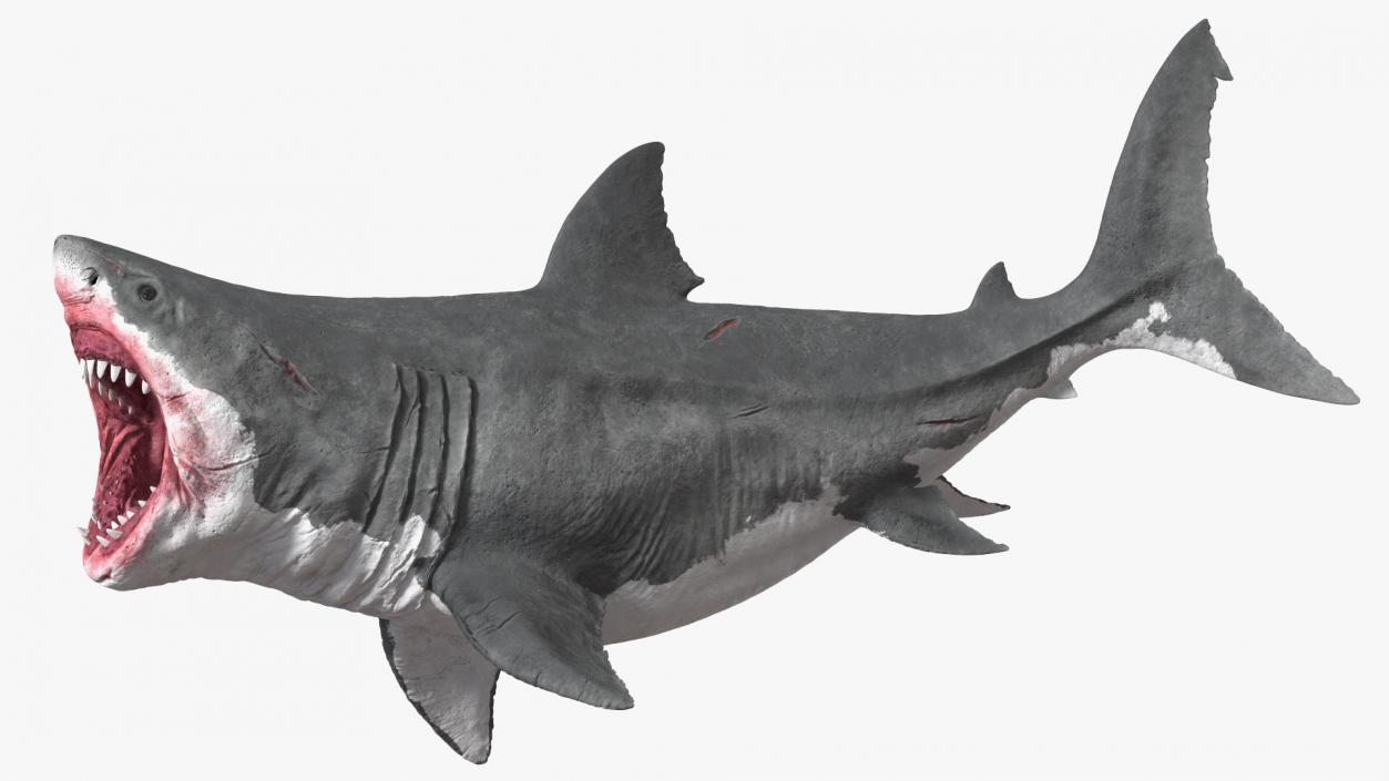 3D model Megalodon Aggressive Pose