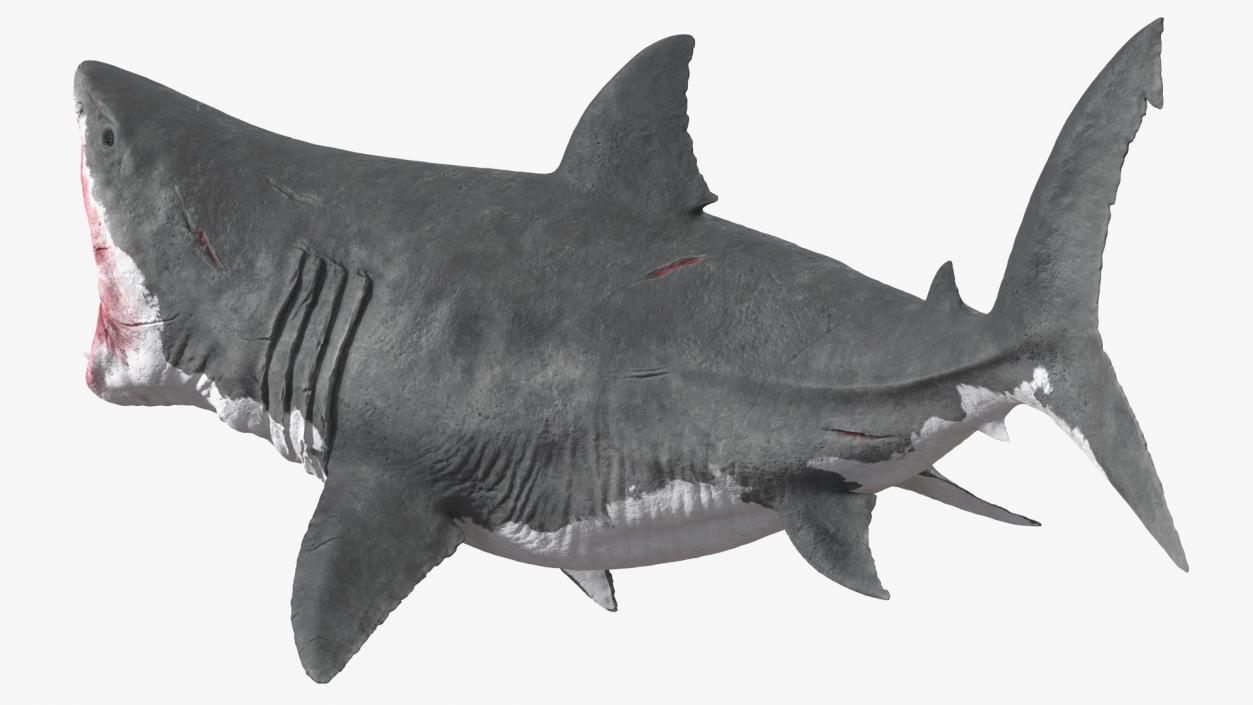 3D model Megalodon Aggressive Pose