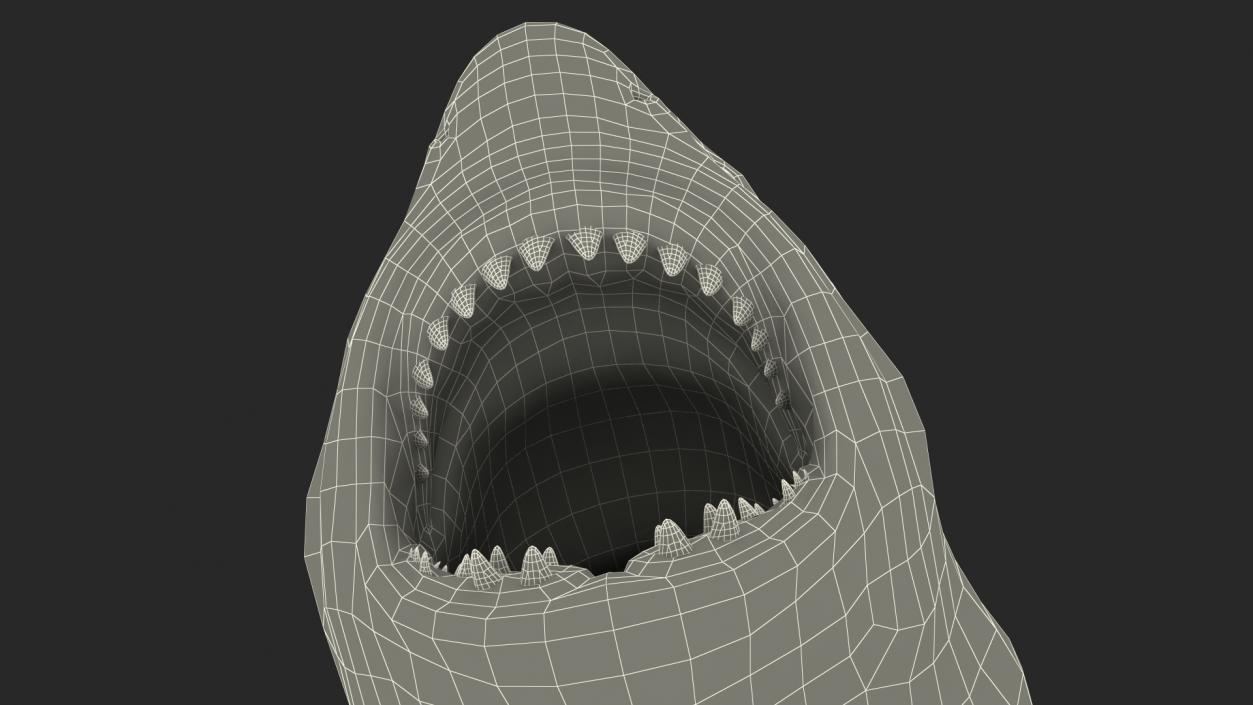 3D model Megalodon Aggressive Pose