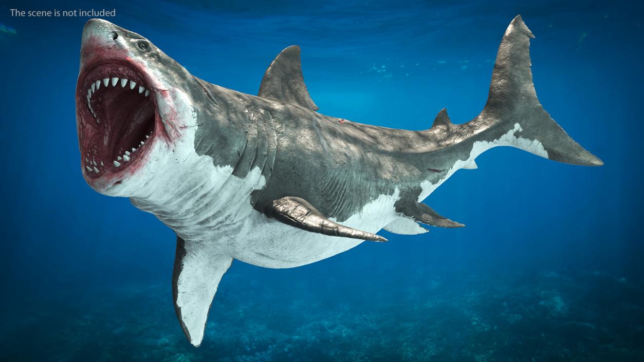 3D model Megalodon Aggressive Pose