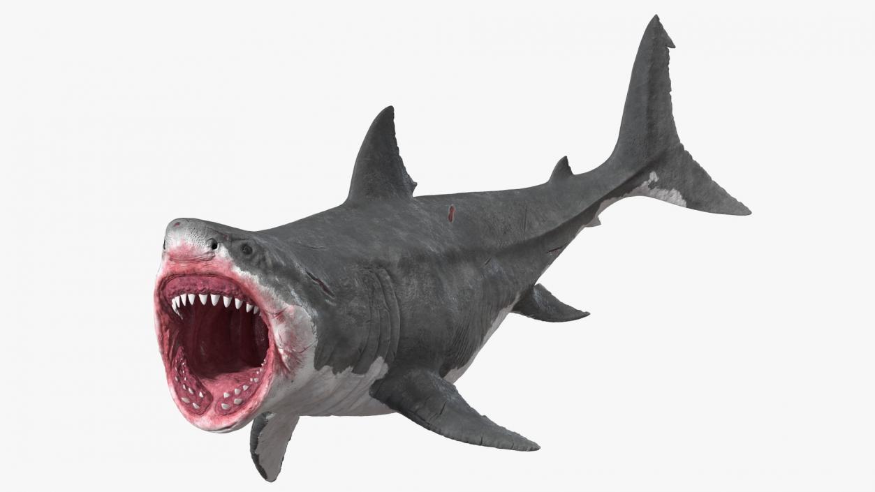 3D model Megalodon Aggressive Pose