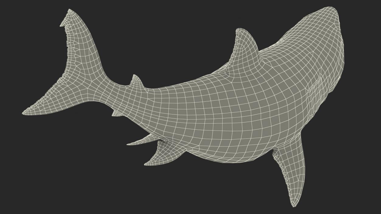 3D model Megalodon Aggressive Pose