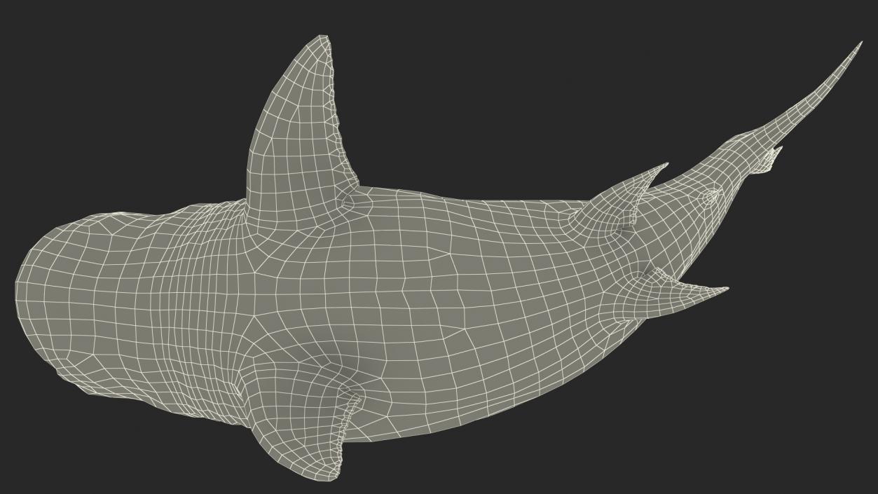 3D model Megalodon Aggressive Pose