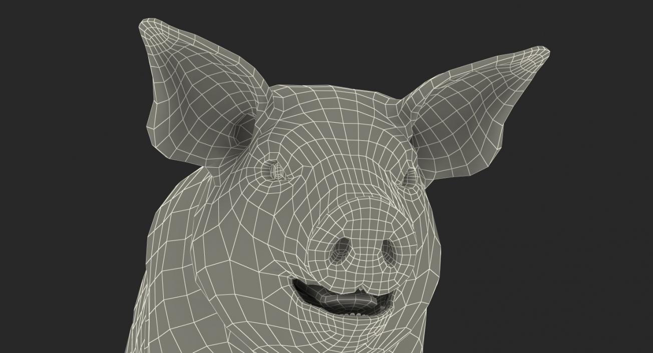 3D Hampshire Pig Piglet with Fur Rigged