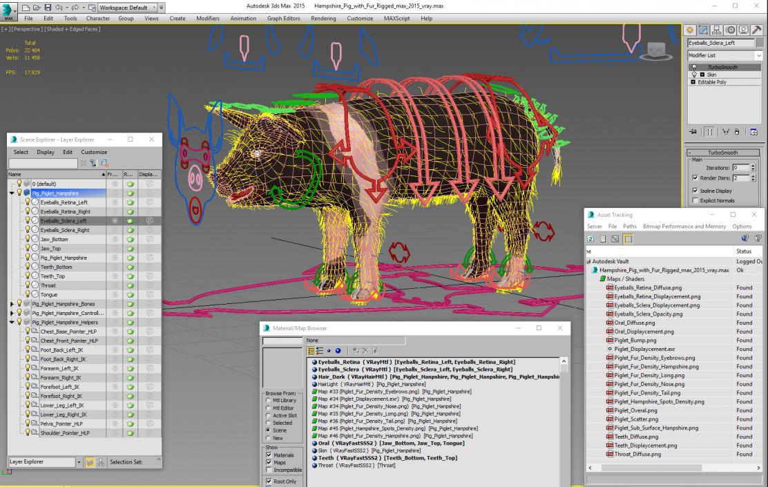 3D Hampshire Pig Piglet with Fur Rigged