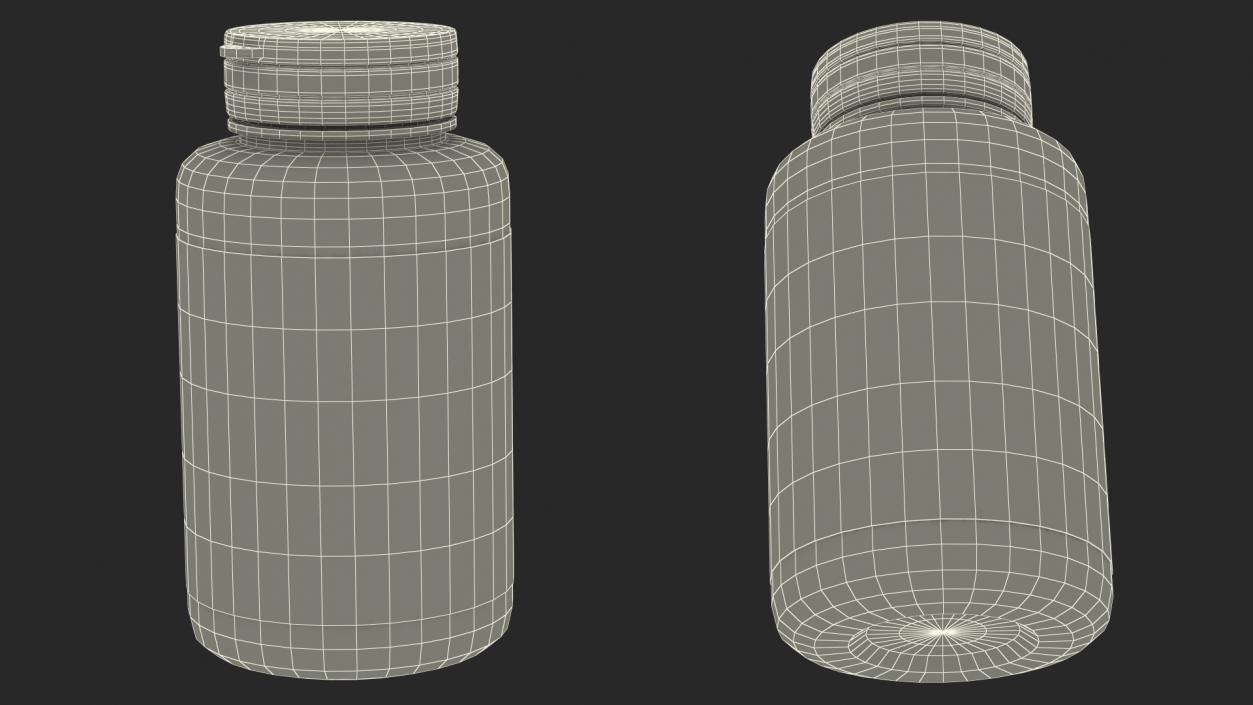 3D Empty Container Blank