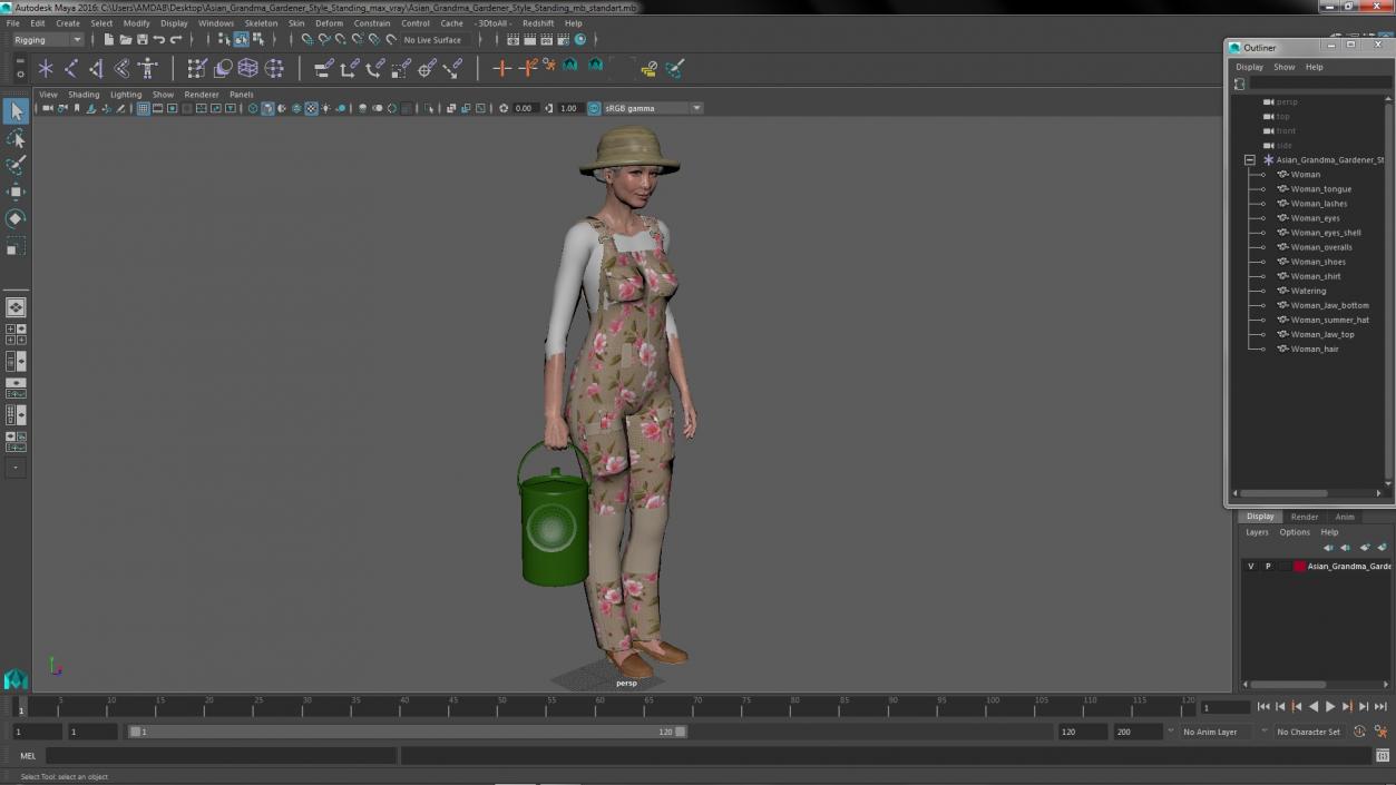 Asian Grandma Gardener Style Standing 3D