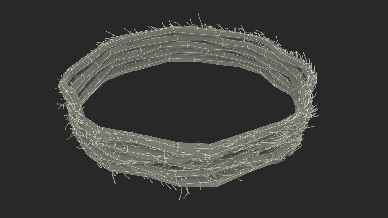 3D Circular Rope model