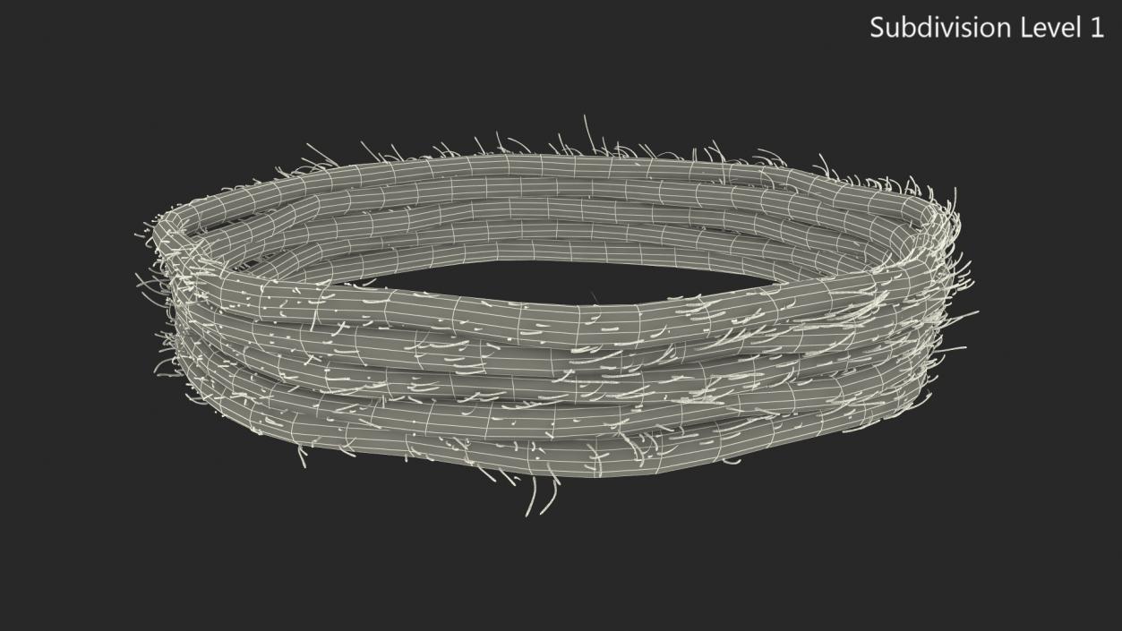 3D Circular Rope model