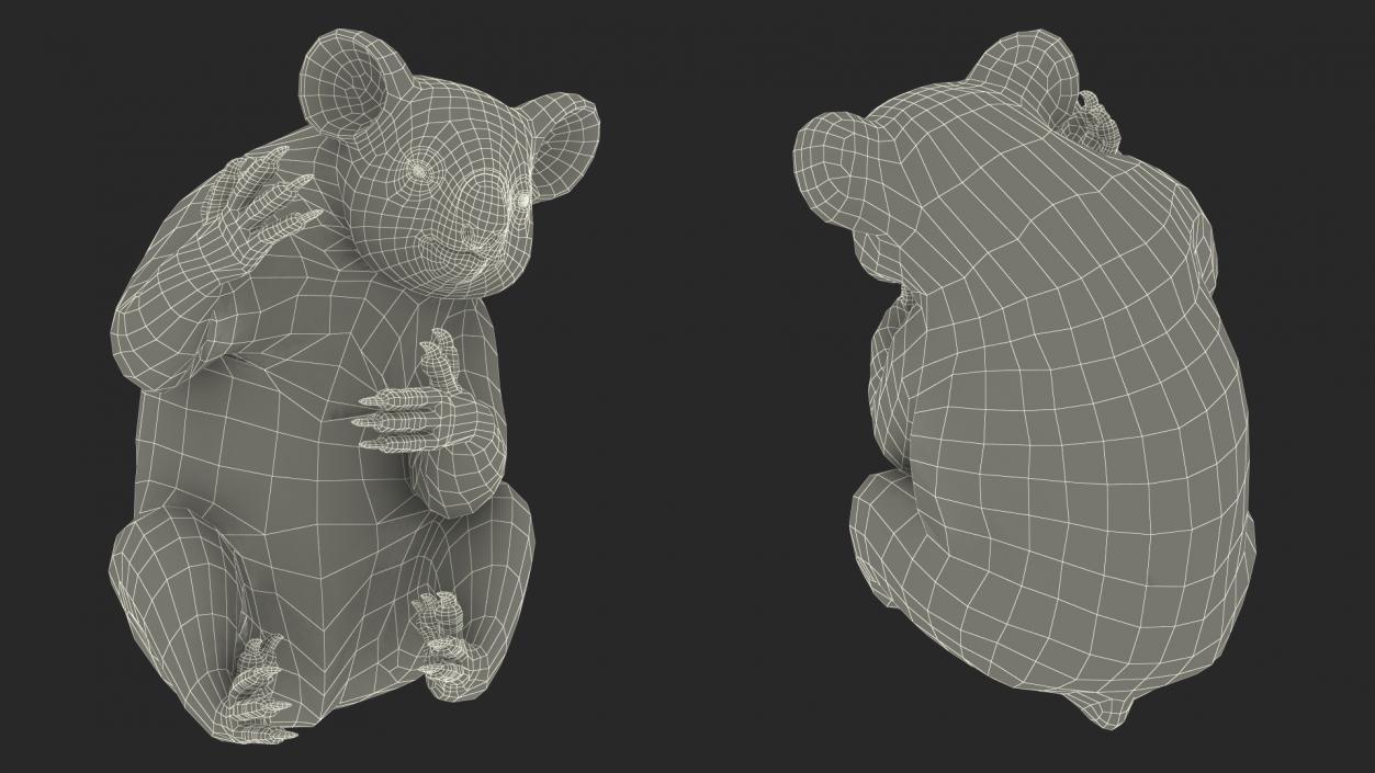 3D Australian Koala Rigged model