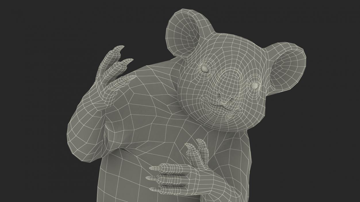 3D Australian Koala Rigged model