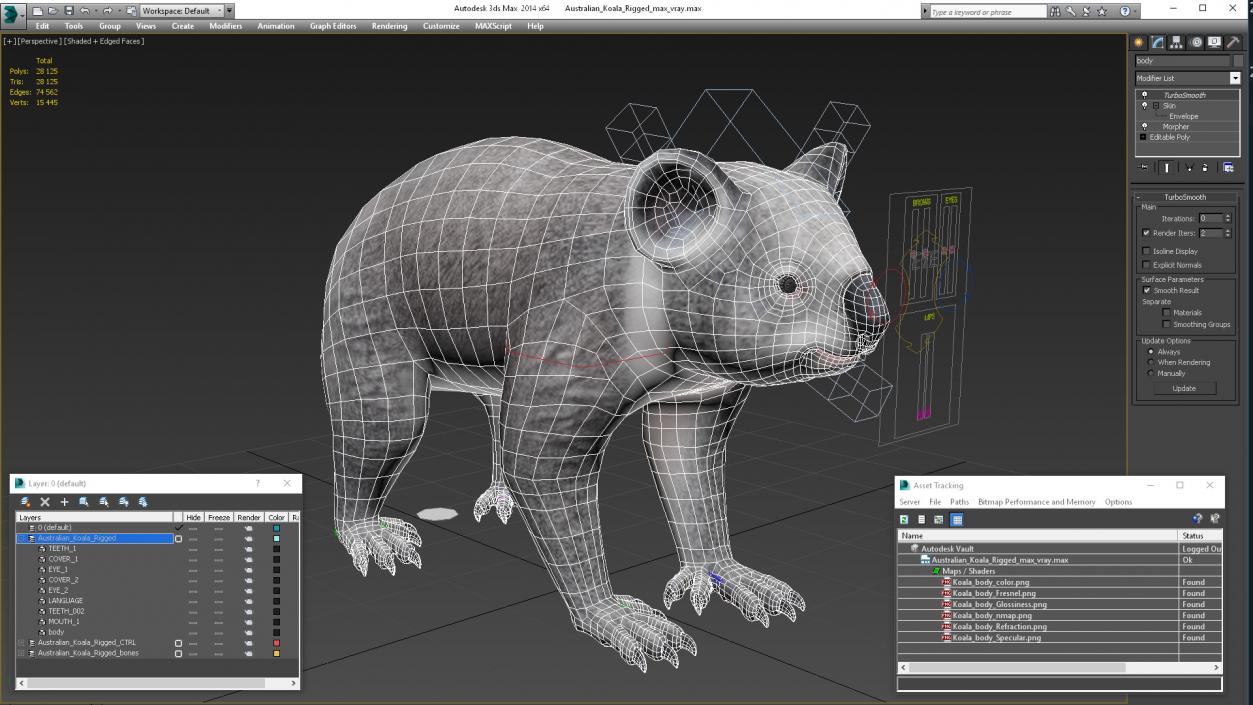 3D Australian Koala Rigged model